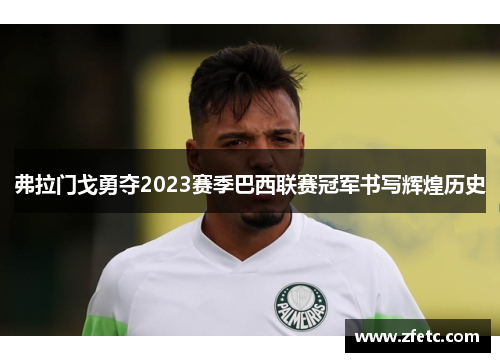 弗拉门戈勇夺2023赛季巴西联赛冠军书写辉煌历史 弗拉门戈勇夺2023赛季巴西联赛冠军书写辉煌历史